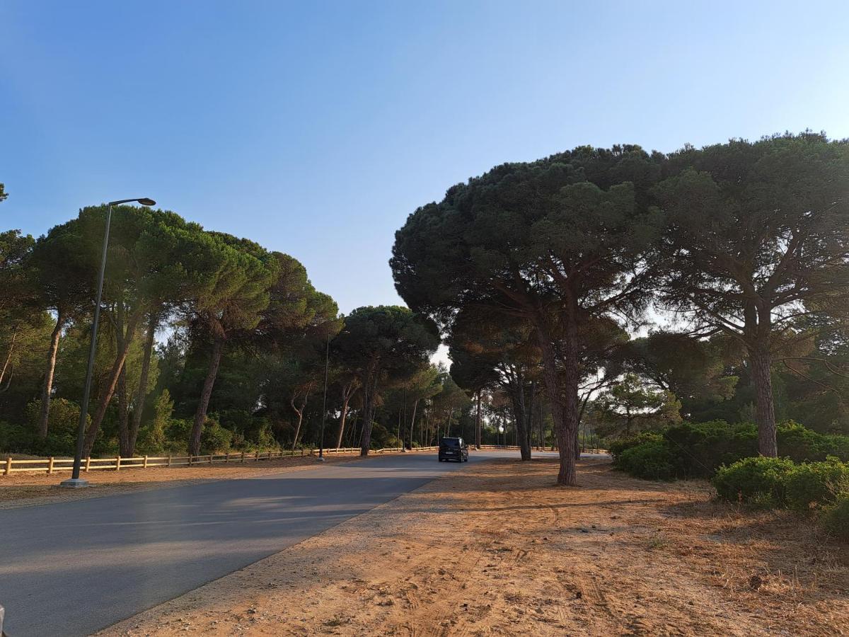 Cosy Appartement A 3Min De La Foret Et 5Min De La Plage Tanger Exteriér fotografie